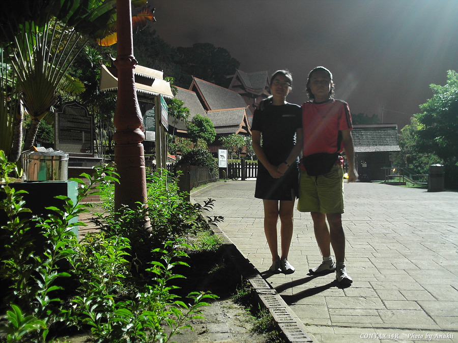 06.01.15.Melaka.Palace1.jpg