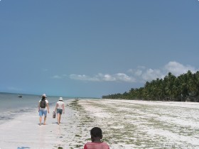 0729_Bwejuu-10.jpg 0729_Bwejuu-10.jpg