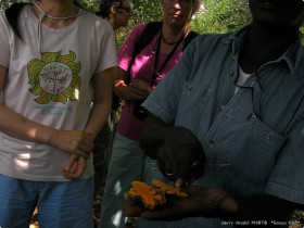 0730_1_SpiceTour-5.jpg 0730_1_SpiceTour-5.jpg